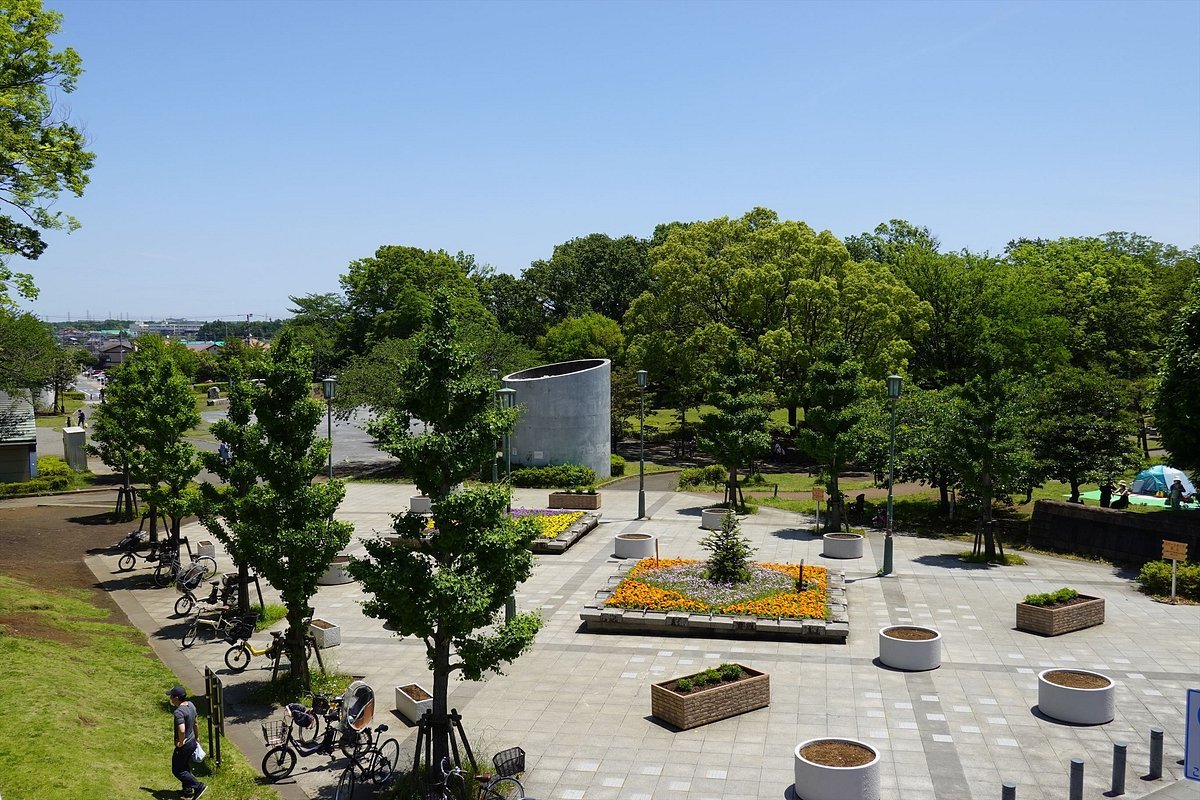 🌳 쇼난다이 공원 (湘南台公園) 이미지 1